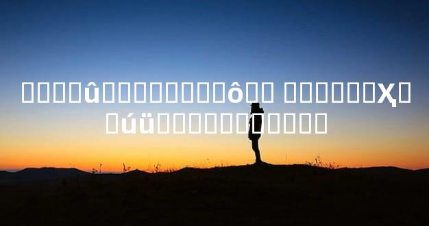 ����û�취��ֽǮ��ô�� ������